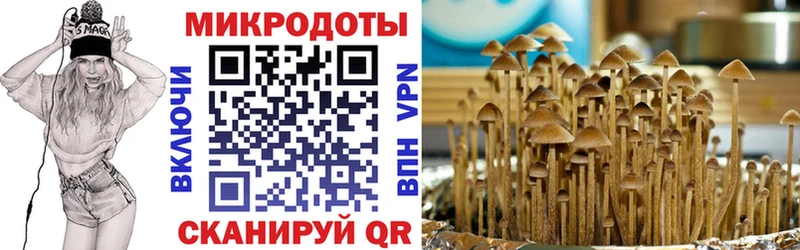 как найти   Томари  Галлюциногенные грибы Magic Shrooms 